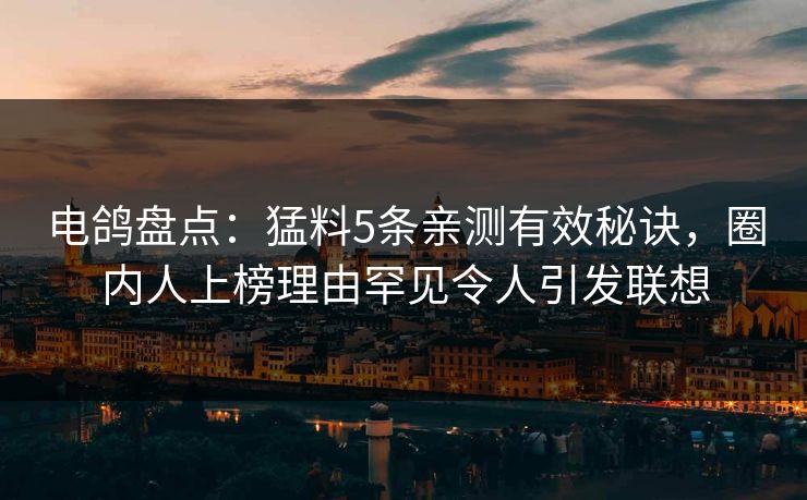 电鸽盘点：猛料5条亲测有效秘诀，圈内人上榜理由罕见令人引发联想