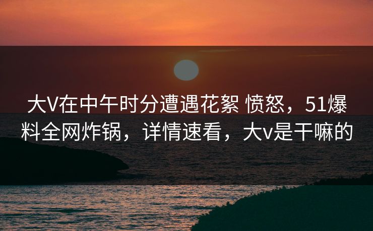 大V在中午时分遭遇花絮 愤怒，51爆料全网炸锅，详情速看，大v是干嘛的
